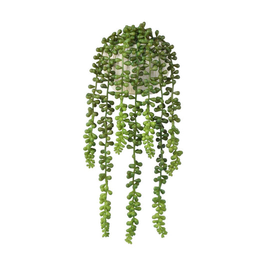 Succulents Plants Artificial / Ceramic Pot Artificial Faux String of Pearls Suitable