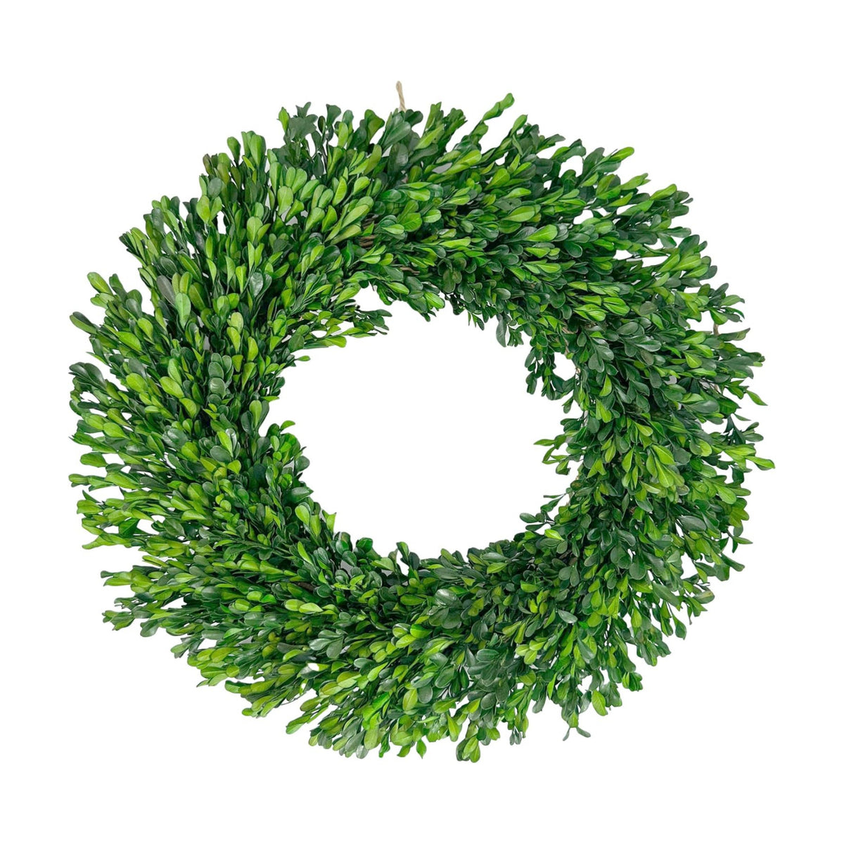 Galt International 21" Naturally Preserved Boxwood Fall Wreath – Fall, Thanksgiving & Christmas Front Door Decoration, Year Round Holiday Home Décor Accent