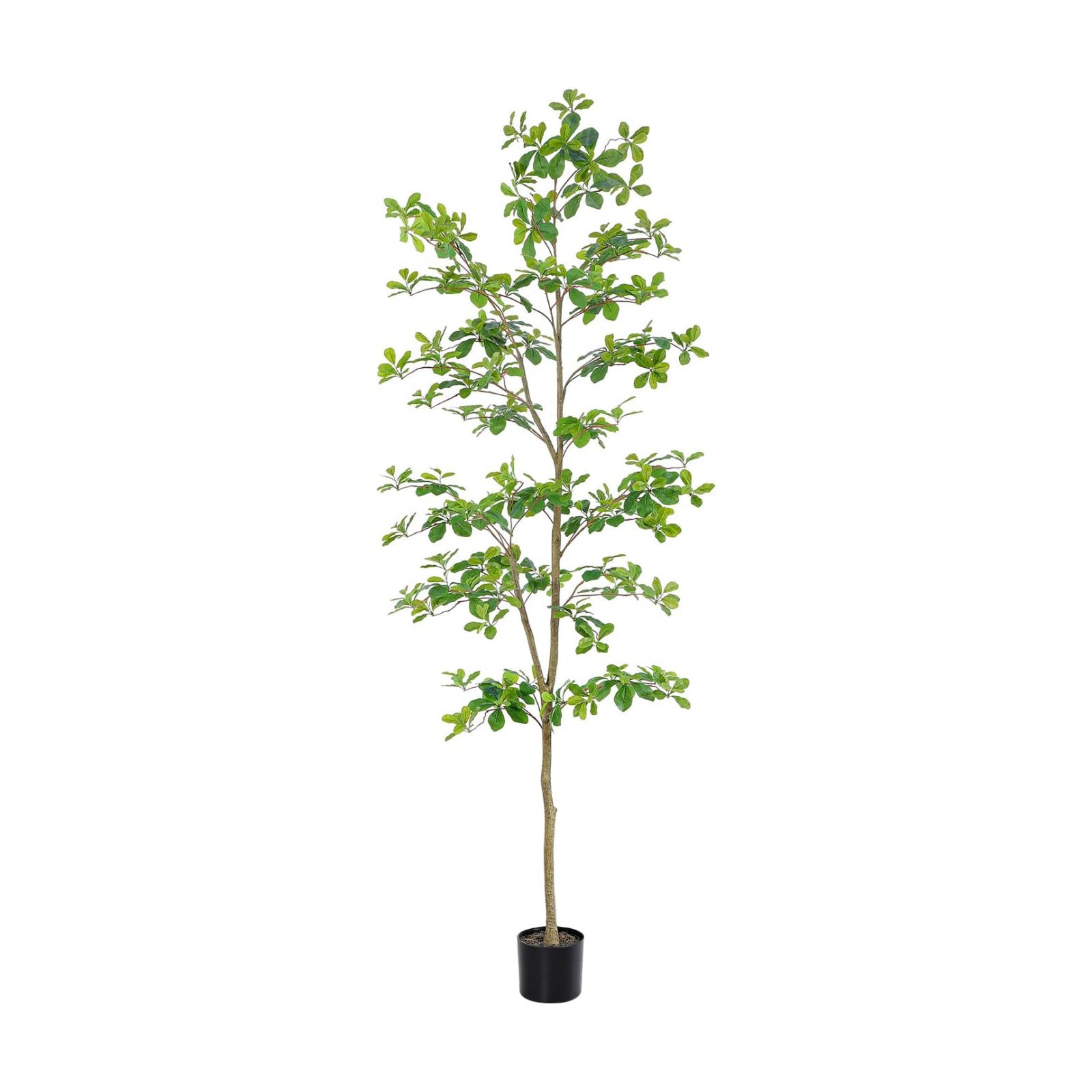 Faux Black Olive Tree / 7ft Black Olive Tree / 7 Inch