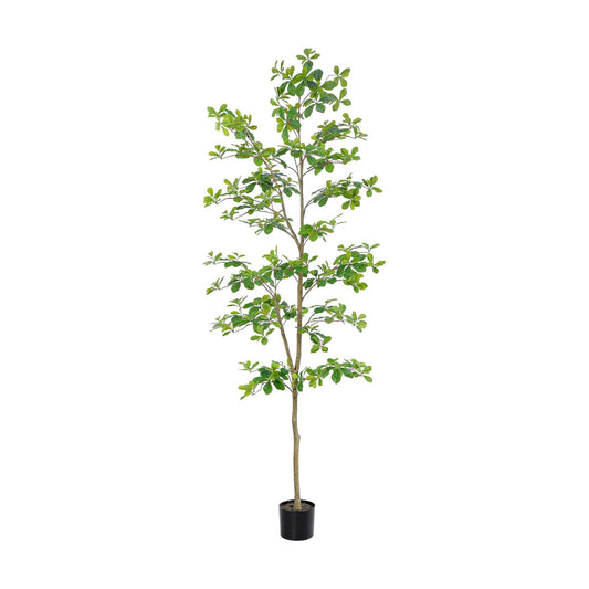 Faux Black Olive Tree / 7ft Black Olive Tree / 7 Inch