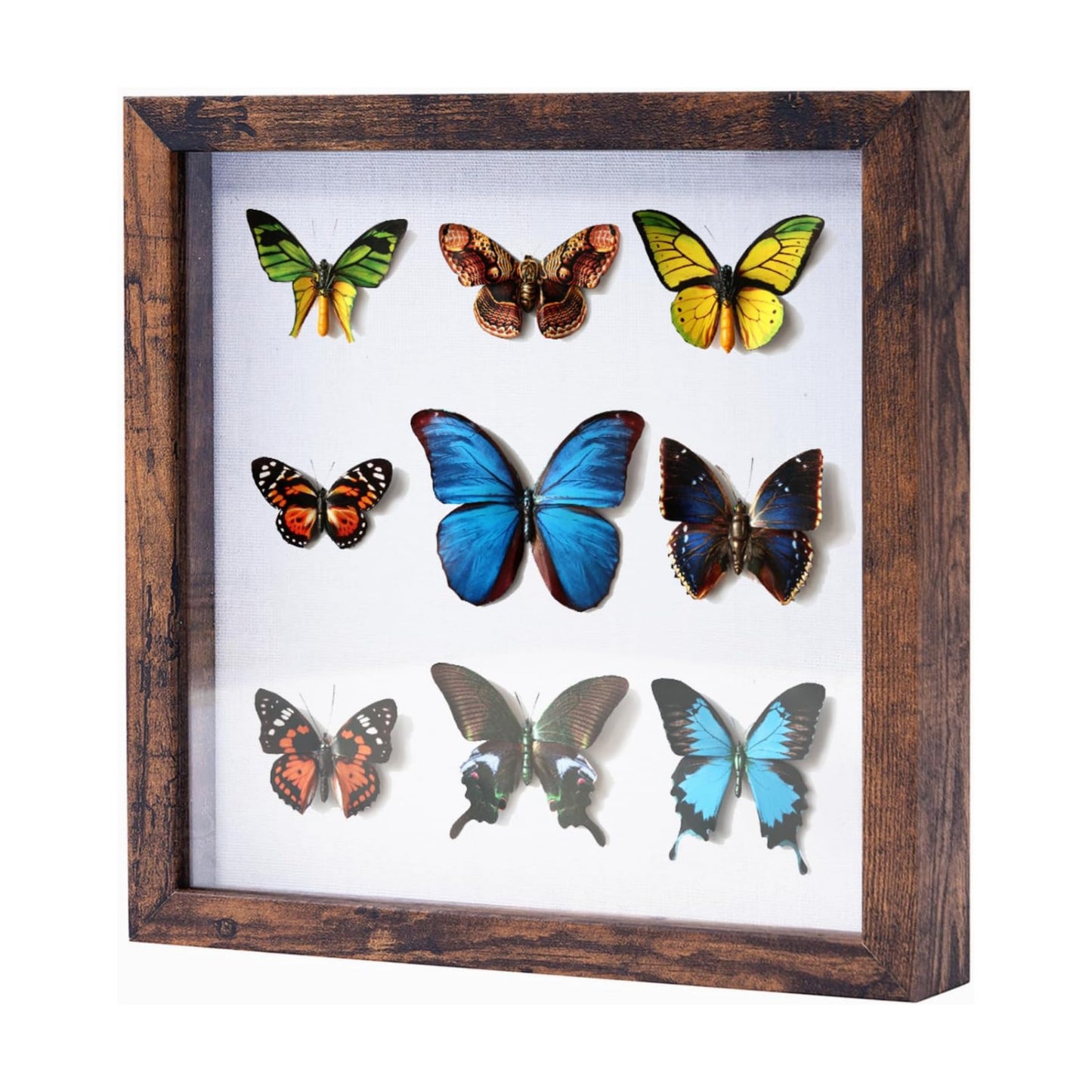 Muzilife 12x12 Shadow Box Wood Picture Frame, Tempered Glass, Honey Brown | FSC-Certified MDF | Soft Acid-free Linen