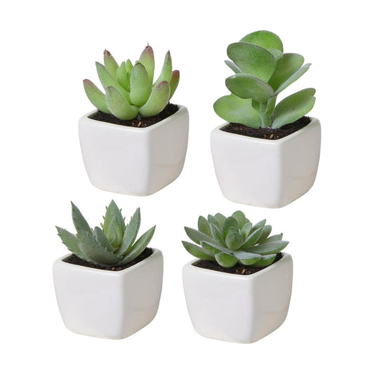 Mini Assorted Decorative Artificial Succulent Plants in Square / Assortment #3 / Green / Set of 4