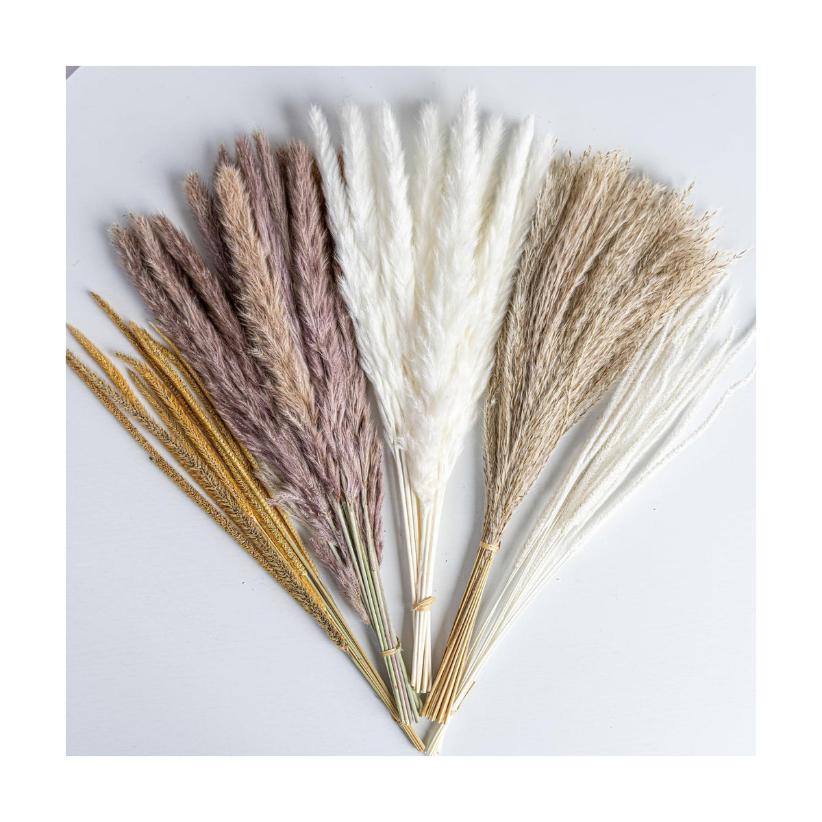 70PCS Natural Dried Pampas Grass Boho Home Decor Bouquet Phragmites Dried Flowers Bouquet for Wedding Floral Arrangements Living Room Decorations (70PCS)