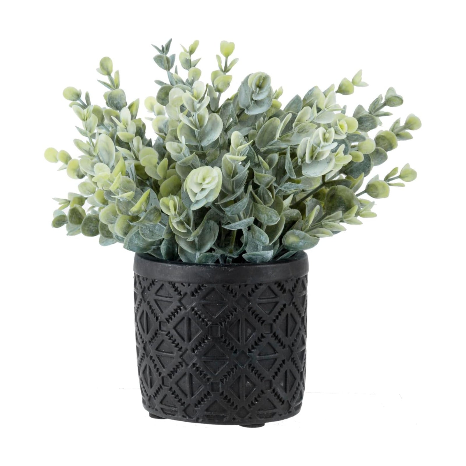Artificial Eucalyptus Plant in Modern Gray Concrete Pots / Black