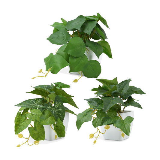 Small Artificial Plants / White
