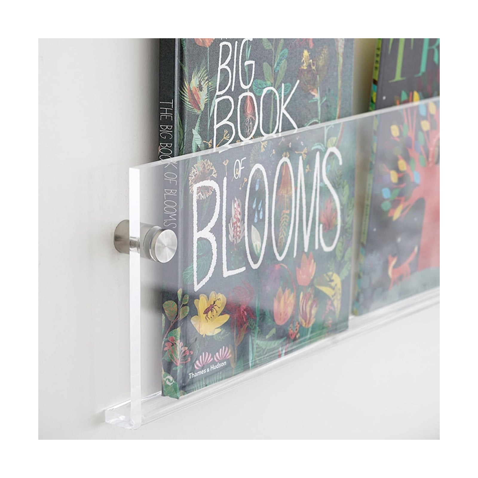 ROYALITA 2-Pack Acrylic Magazine Holder Display Records Holder, 24 Inch | Brochure Holder Floating Bookshelves Wall