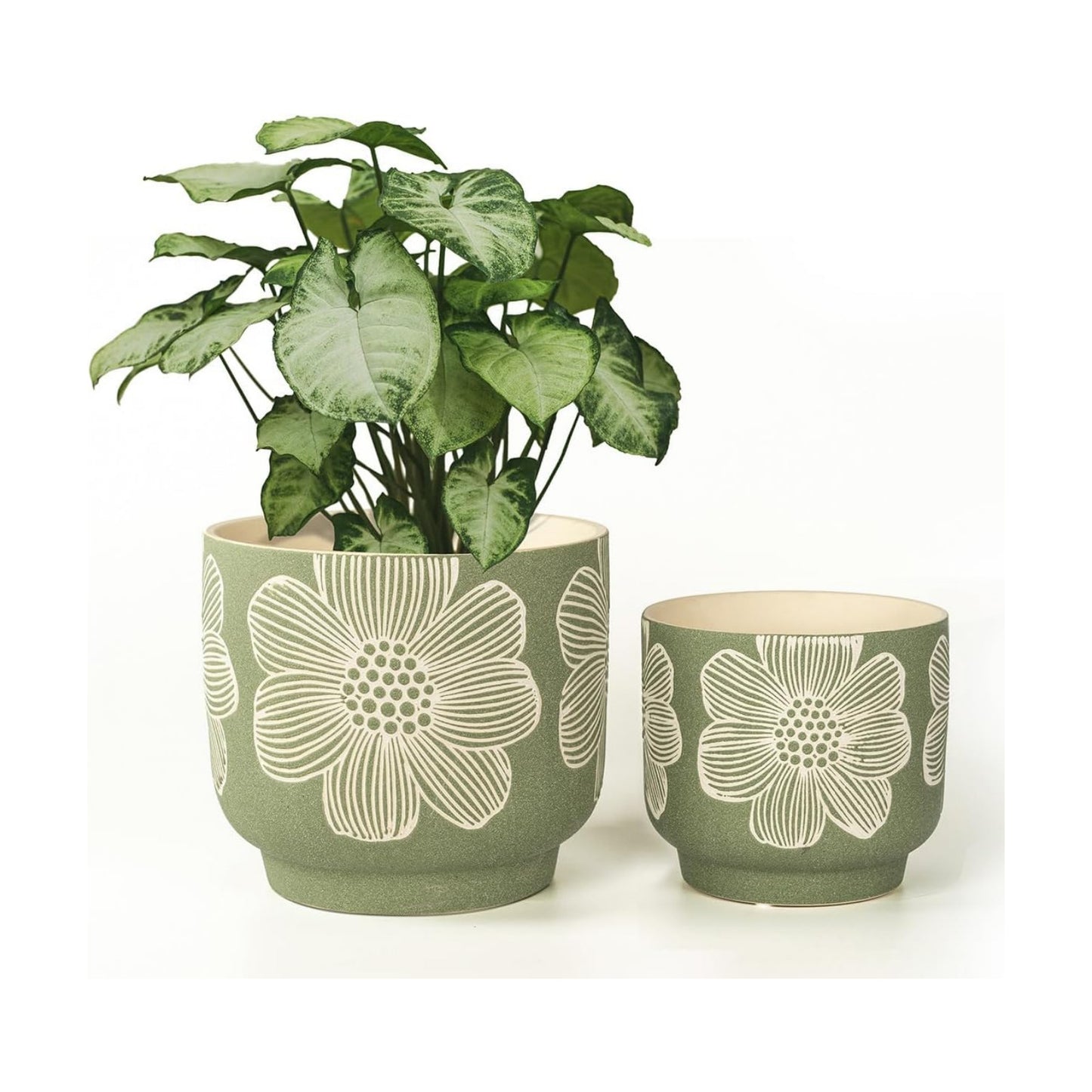 Sand Glazed Ceramic Planter / 8+6 Inch / Modern Green Floral / 8 Inch