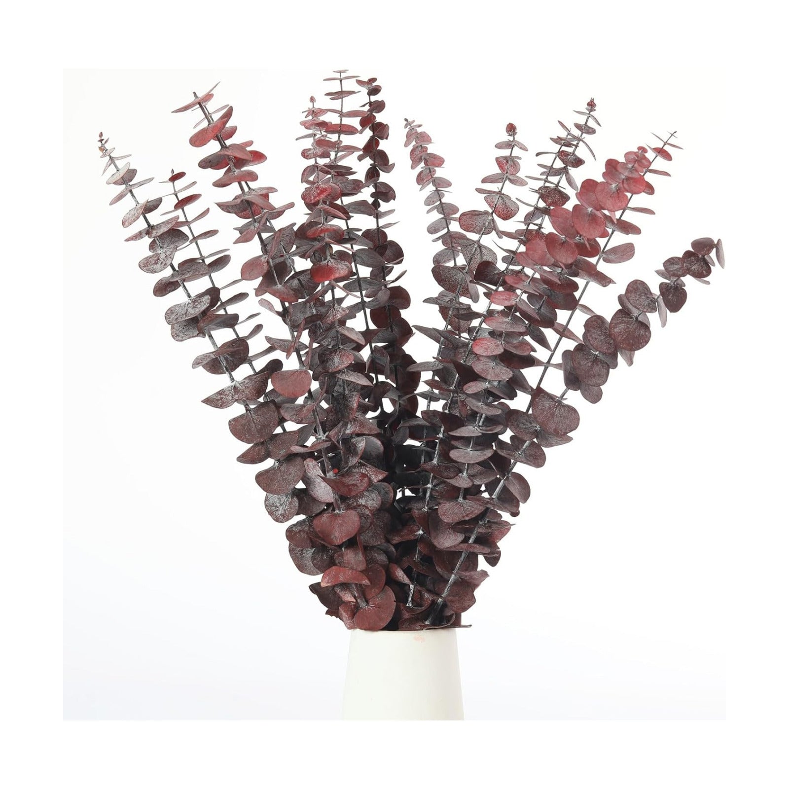 17'' Natural Fresh Eucalyptus Leaves Branches Hanging for Shower / Red / Set of 16