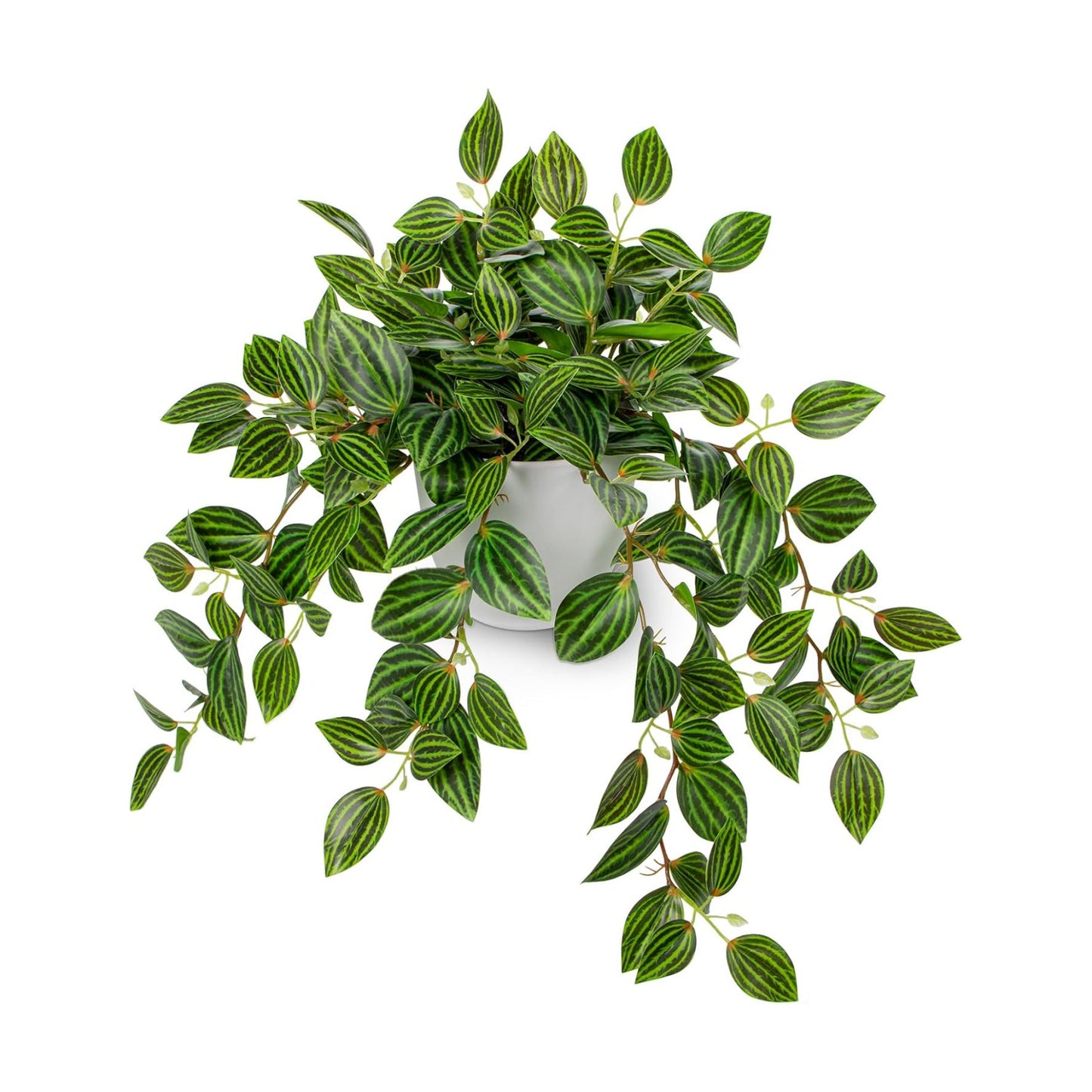 Artificial Plants Indoor Fake Potted Silk Plants Faux Watermelon Peperomia / Watermelon Green