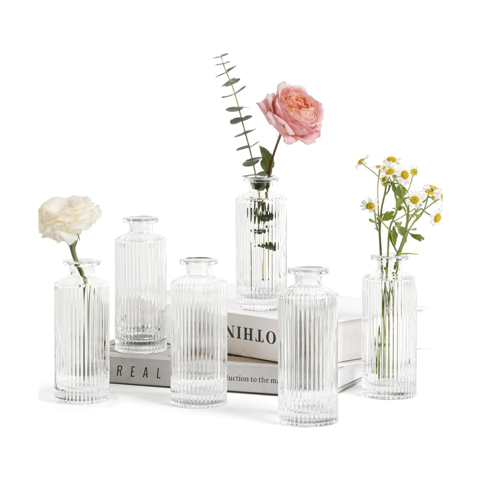 Small Vases for Flowers Mini Glass Bud Vases in Bulk / Clear / 5.2 Inch / Set of 6