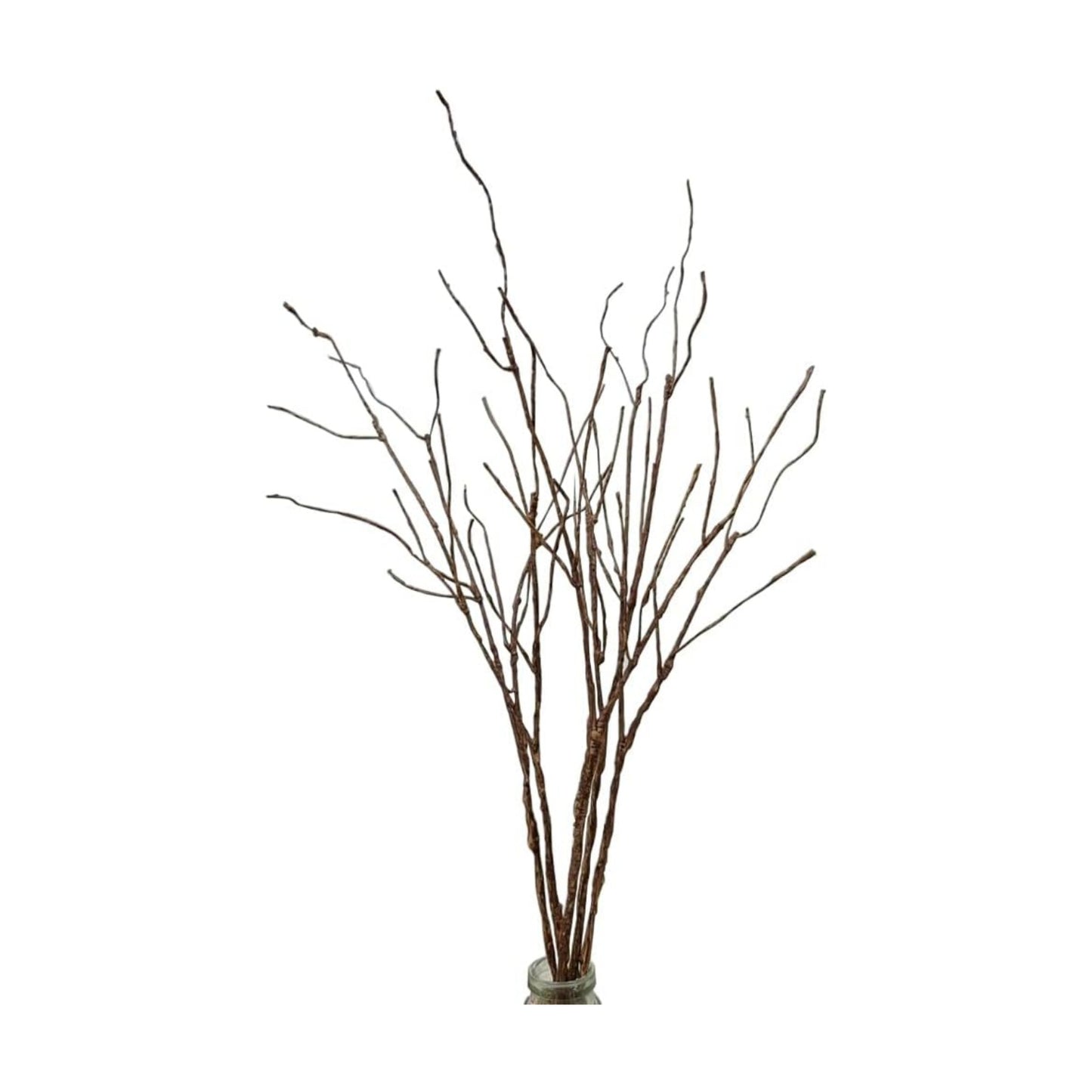 Artificial Lifelike Curly Willow Branches Decorative Dried Birch Twigs Fake / 25.9 Inch / Set of 5
