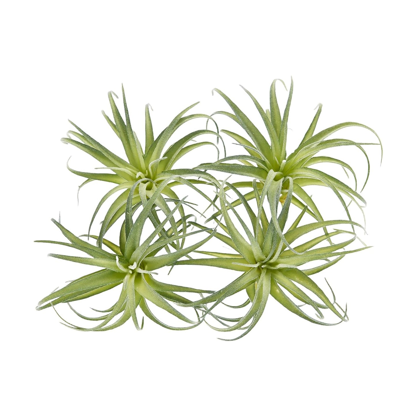 Fake Artificial Tillandsia Air Plants / Green / Set of 4
