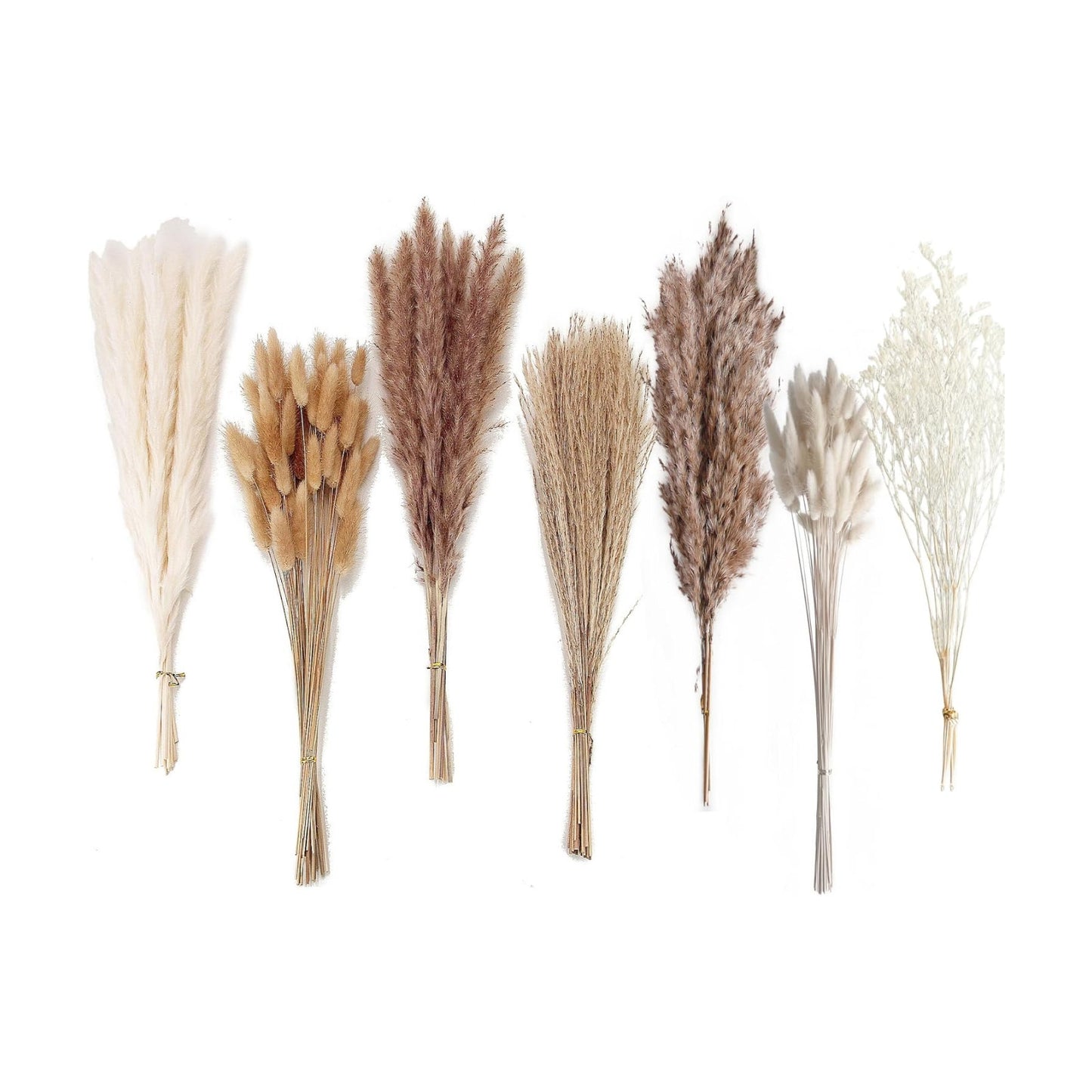Dried Pampas Grass Decor, 128PCS Pampas Grass with Bunny Tails Dried Flowers, Reed Grass Bouquet for Wedding, Boho