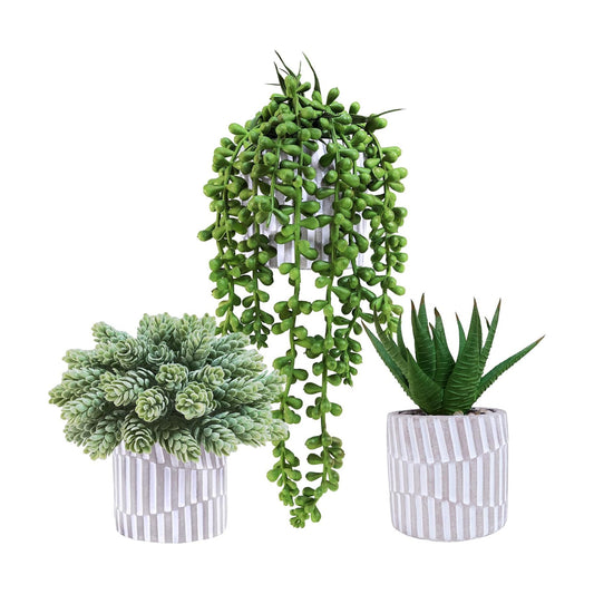 Small Faux Succulent Plants Fake String of Pearls Aloe Hops Succulents / Gray / Set of 3