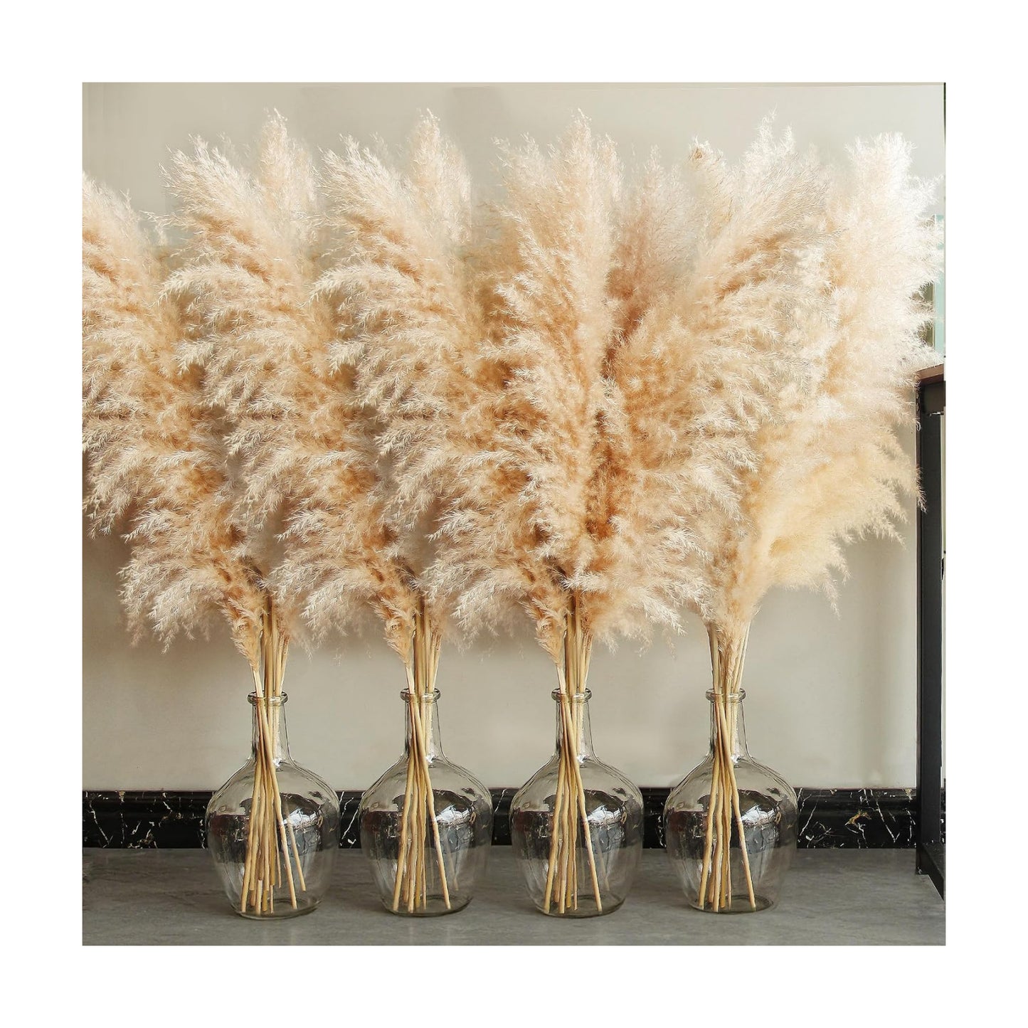 Tall Pampas Grass / Natural / Set of 20