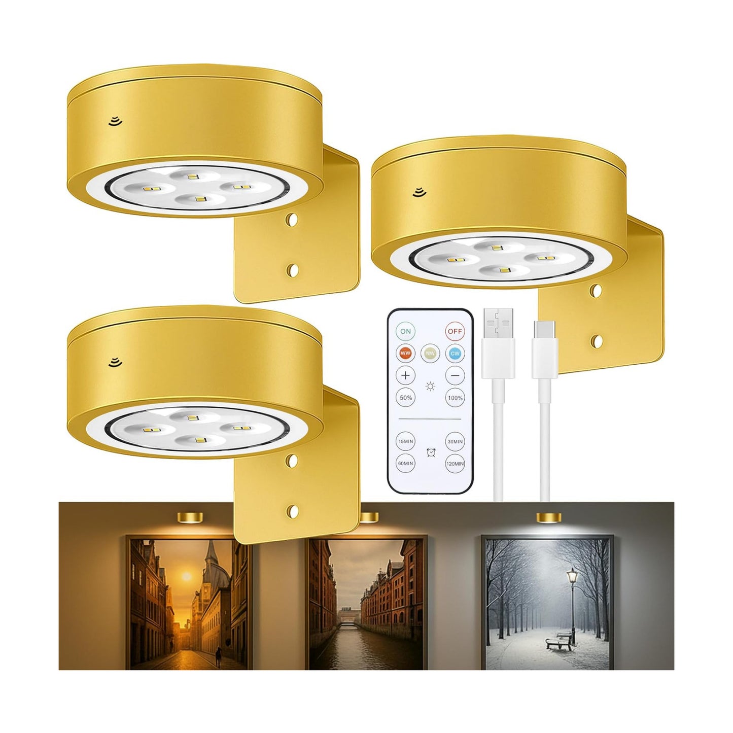 Picture Lights for Wall, Rechargeable Battery Wireless Poster Lights, Gold | LED Magnetic Painting Light with Remote