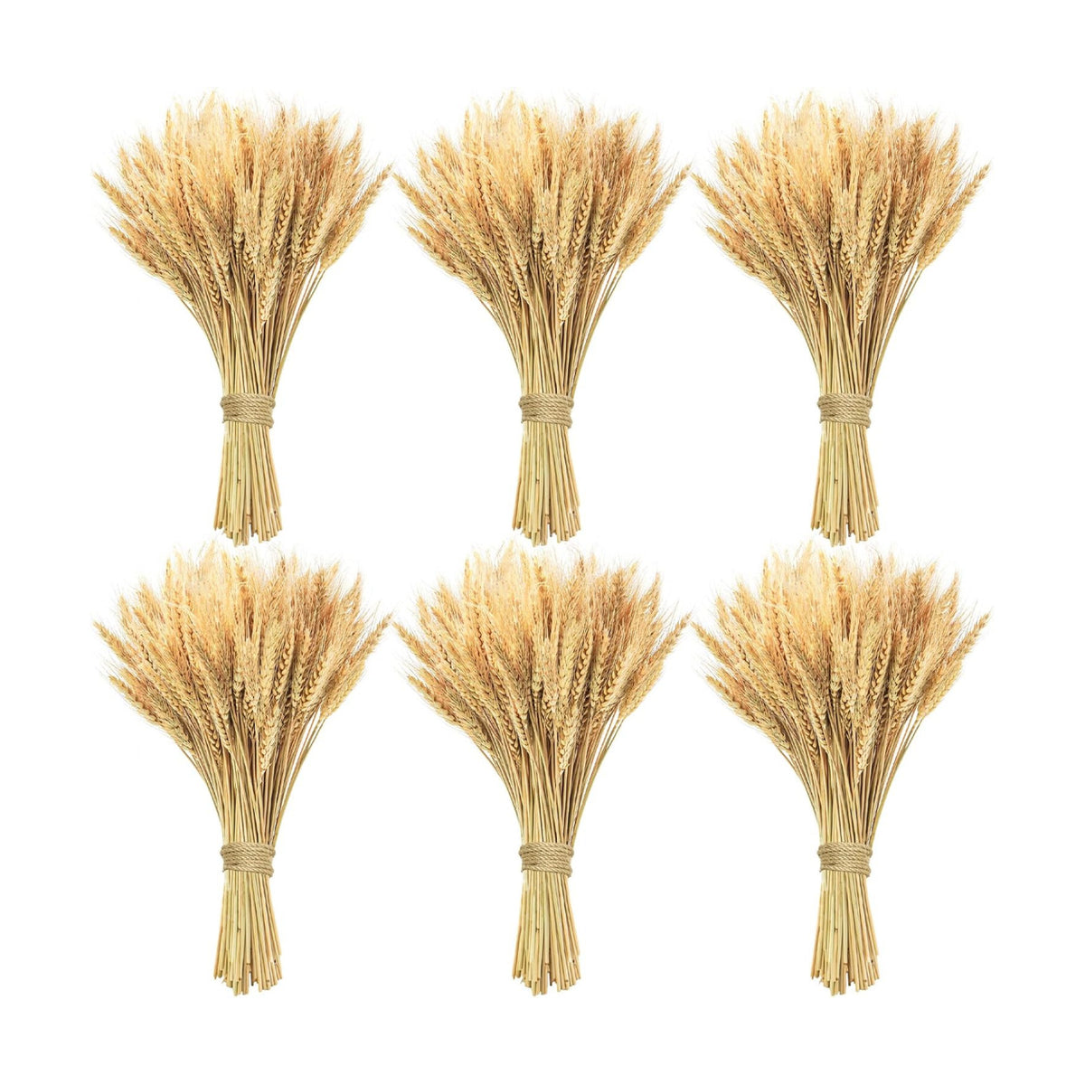 600 Stems Natural Dried Wheat Stalks, 18 inches Dried Wheat Grass Bundle Wheat Sheaves Wreath for Flowers Arrangement Wedding Table Centerpieces Home Kitchen Office DIY Party Décor