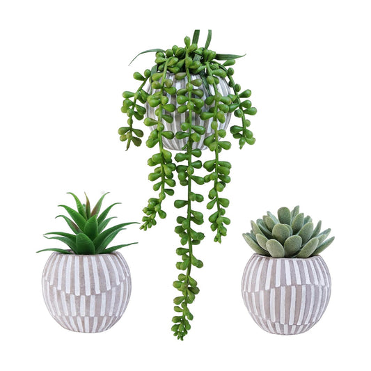 Artificial Succulent Plants in Geometric Concrete Pots Fake Aloe Echeveria String / Gray / Set of 3