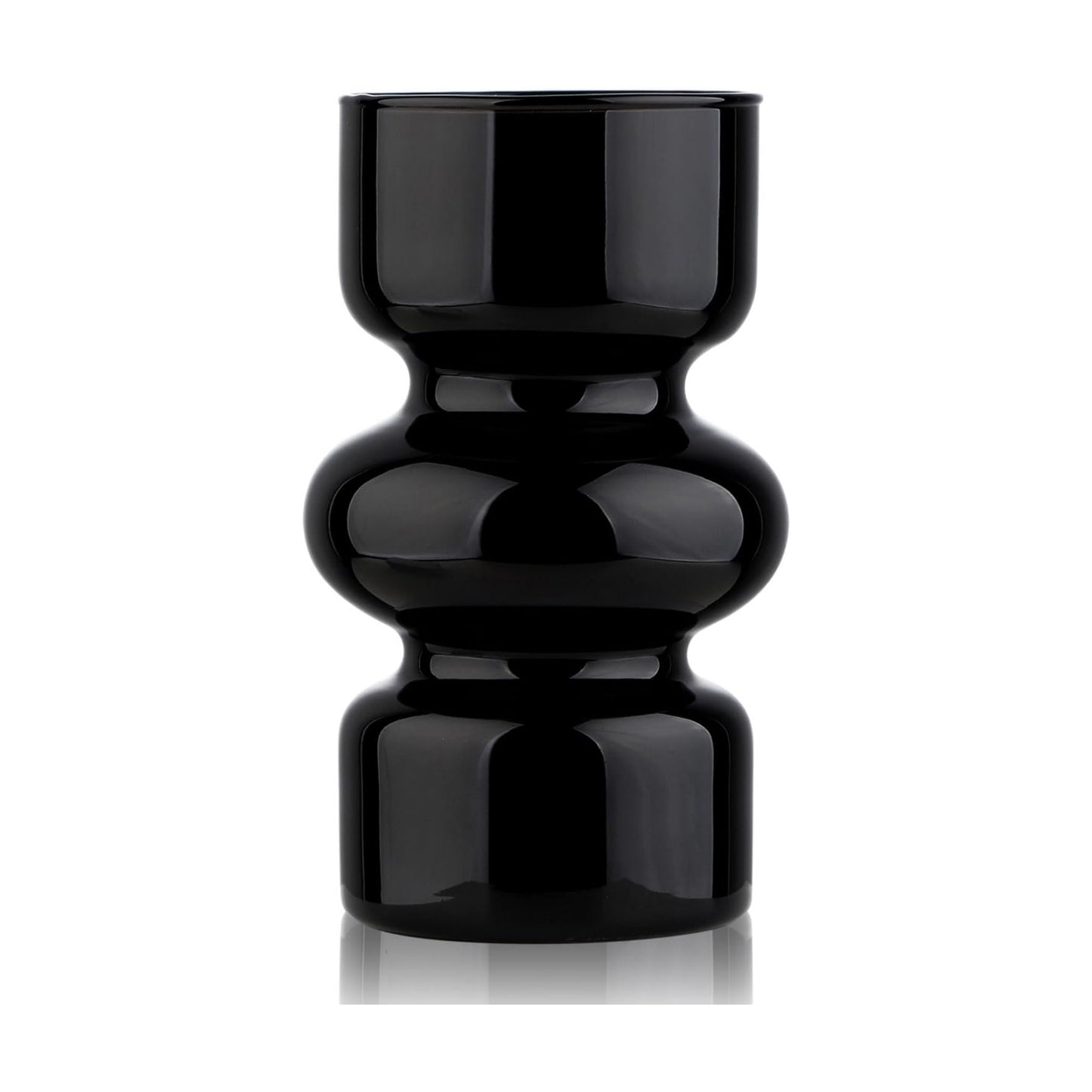 Glass Hydroponic Vase / Black / 7 Inch