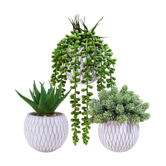 Small Faux Potted Plants Artificial Aloe Hops String of Pearls Succulents Plants / Gray / Set of 3