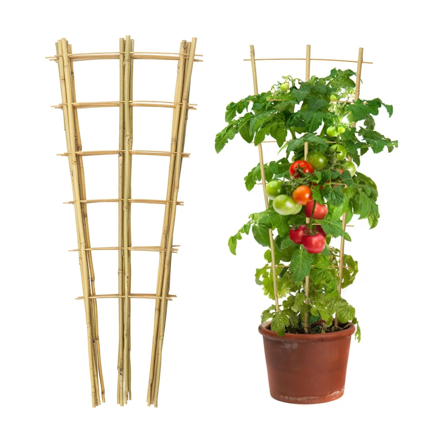 10 Pack 3 Feet Natural Bamboo Trellis, Fan-Shaped Bamboo Plant Trellis for Climbing Plants, Vegetables, Cucumber
