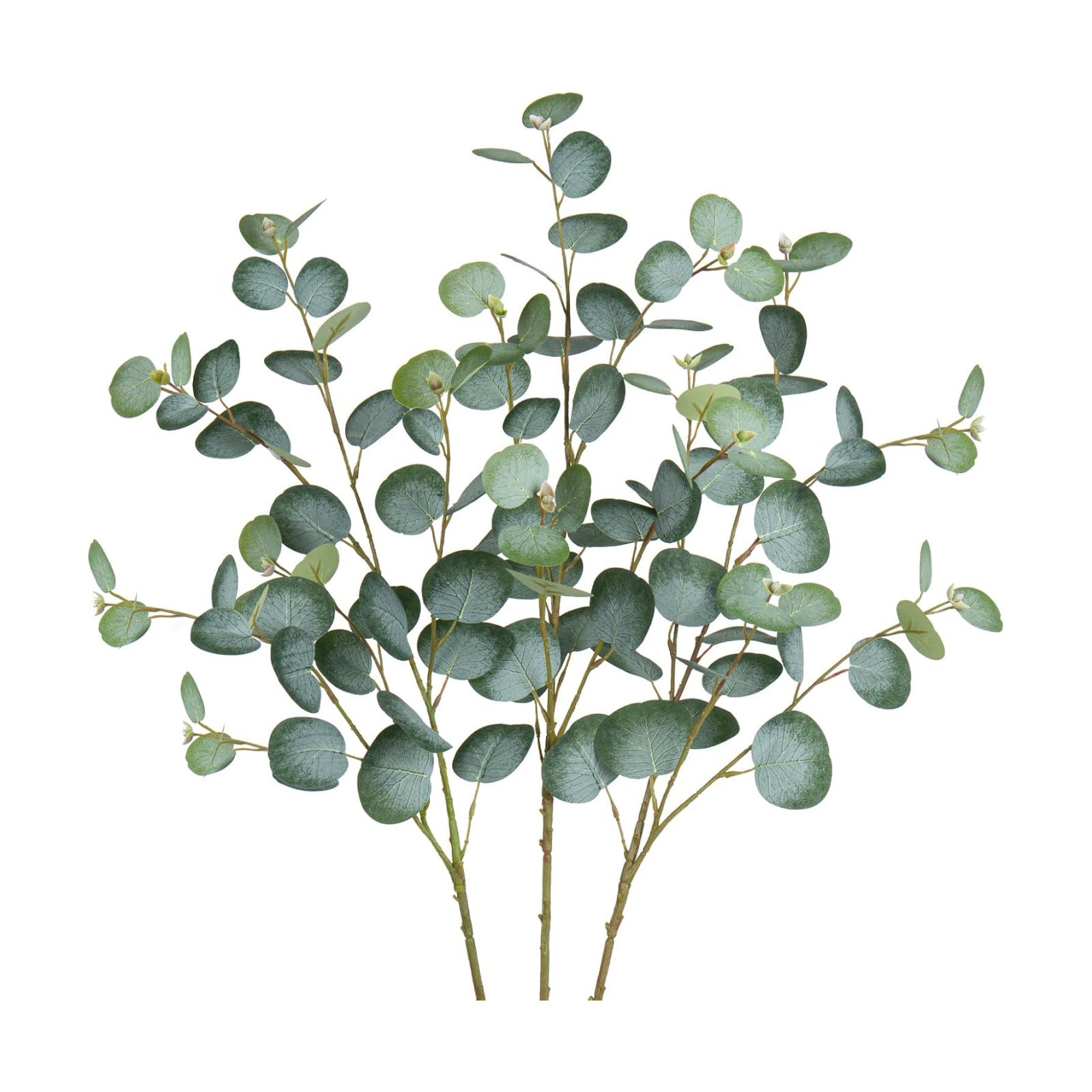 Artificial Eucalyptus Stems Long Faux Eucalyptus Branches Fake / Green / 31 Inch / Set of 3