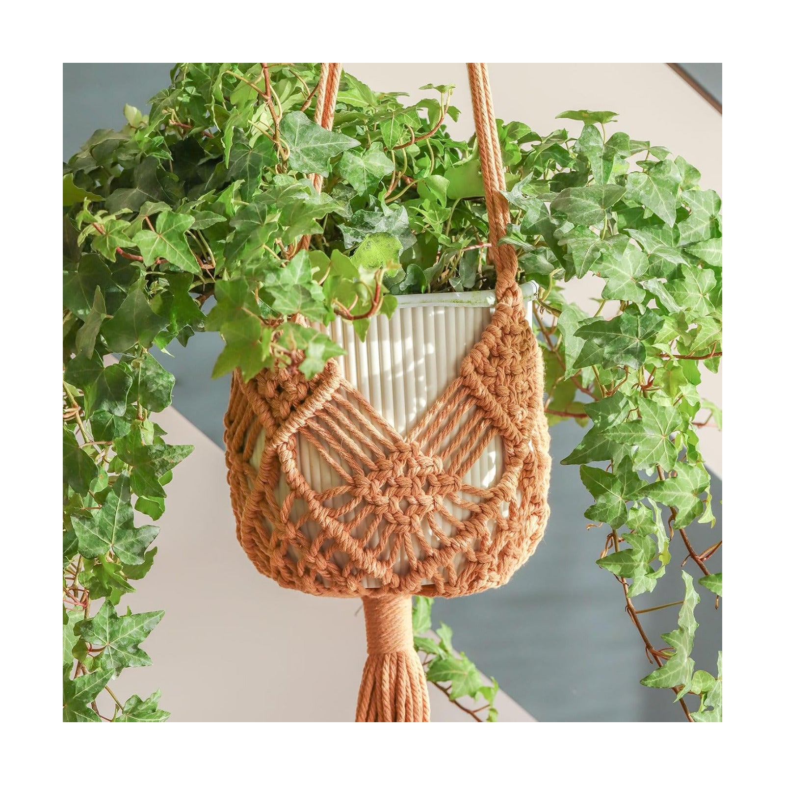 2Packs Macrame Plant Hangers Indoor Macrame for up to Pot Crochet Boho Plant / Caramel / 8 Inch