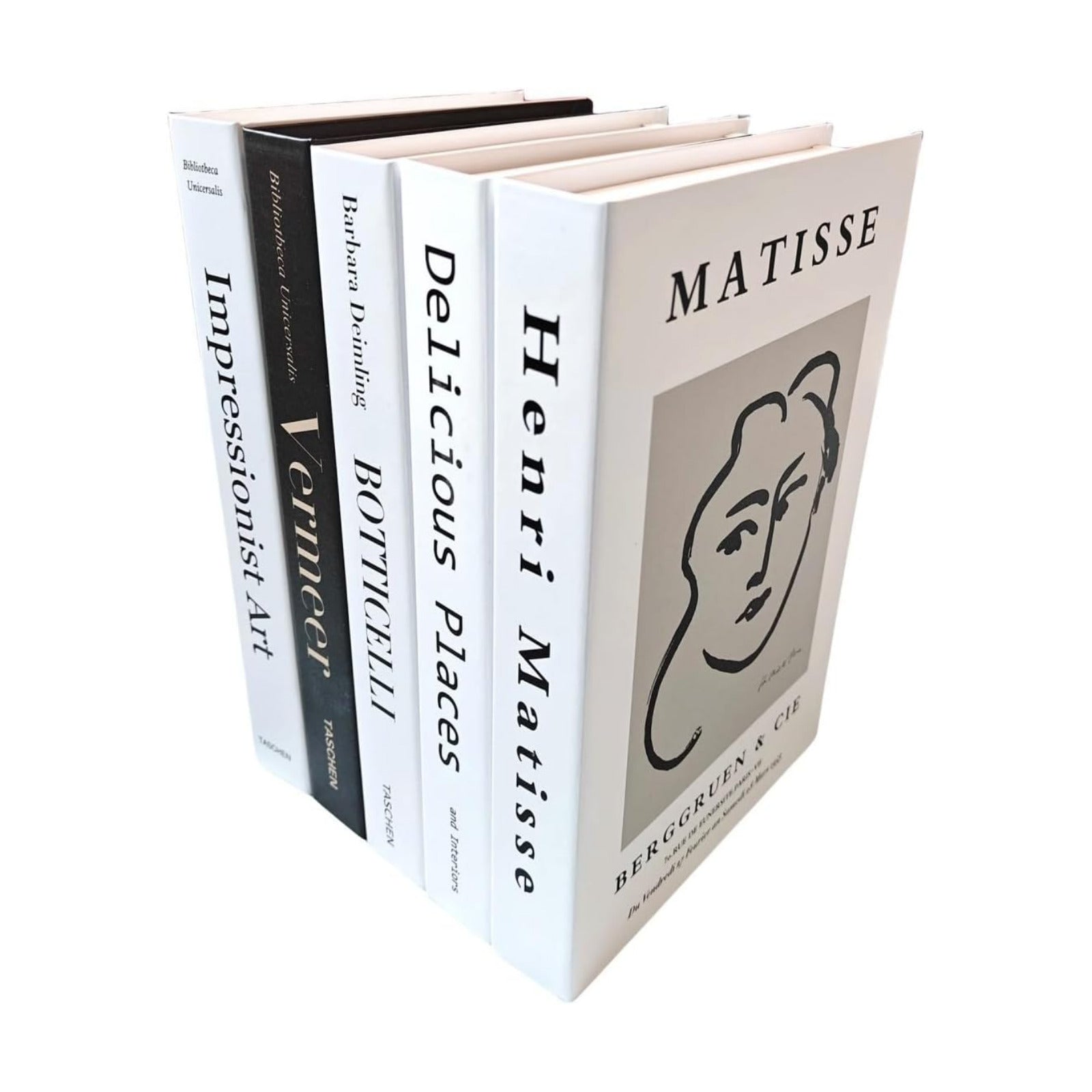Faux Books for Decoration Decorative Books Aesthetic Modern Organic Home Minimalistic / Set of 5