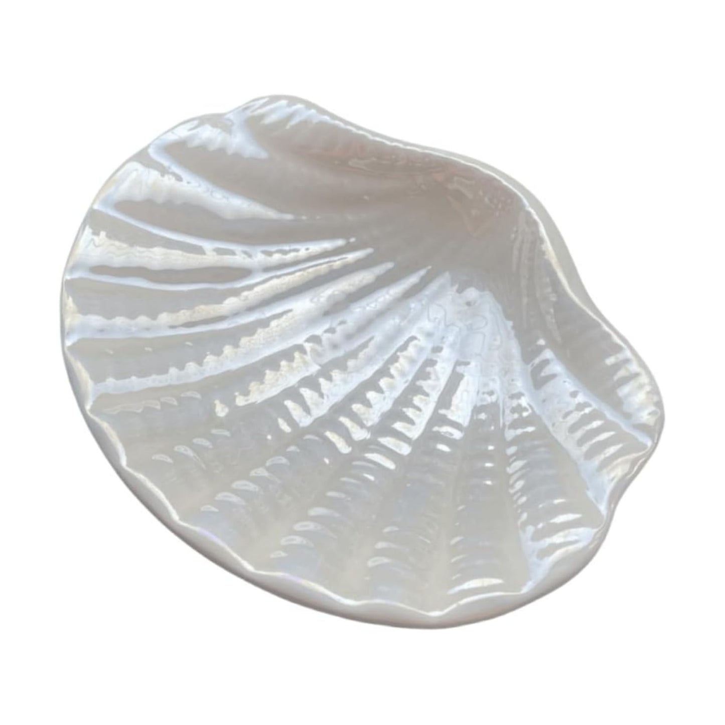 Ceramic Ocean Seashell Soap Dish / White