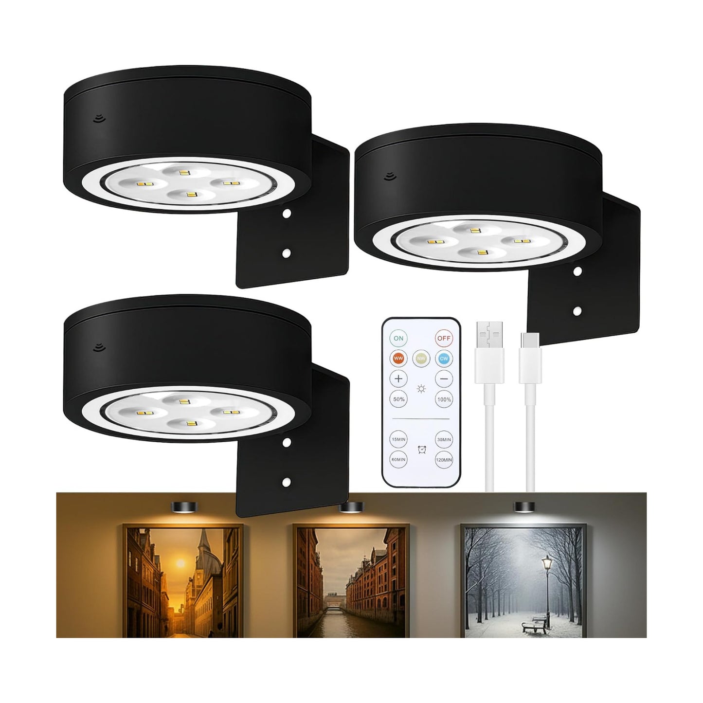 Picture Lights for Wall, Rechargeable Battery Wireless Poster Lights, Black | LED Magnetic Painting Light with Remote
