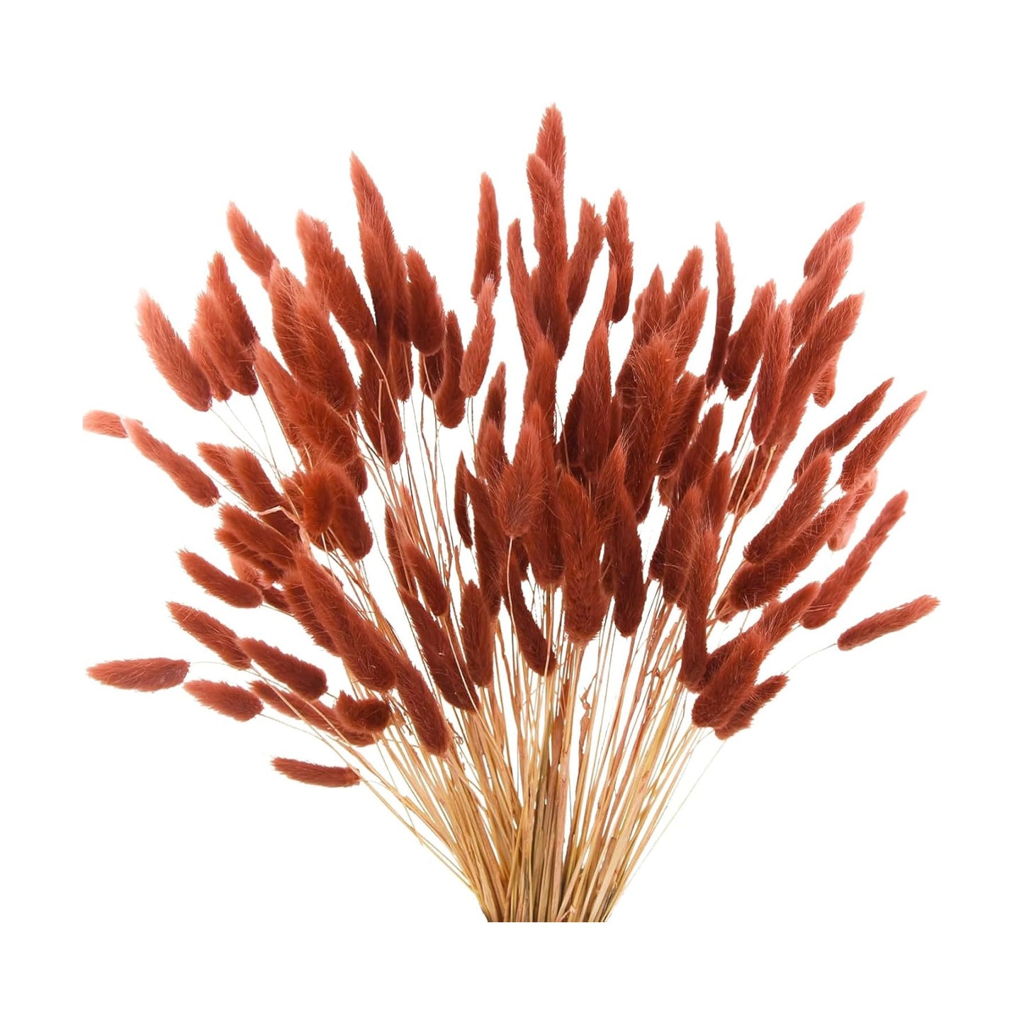 17" Dried Faux Pampas Grass Bulk Decor Fall Pampas Dried Boho Flowers / Burnt Orange / Set of 120