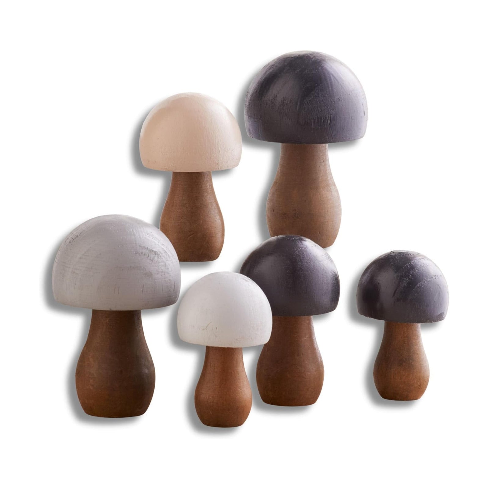 Charming Nature Inspired Gift / Black Gray 6 / Set of 6