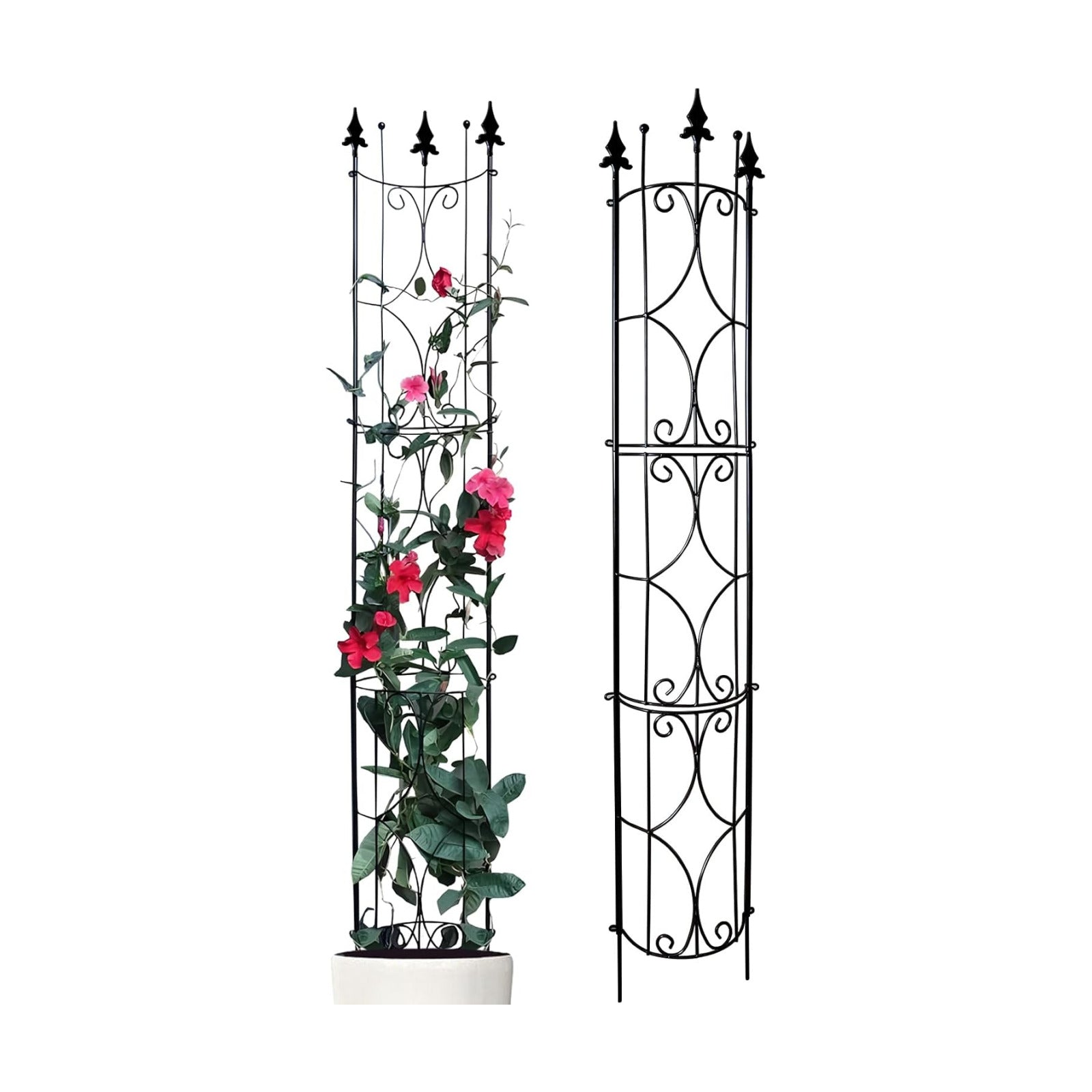 Garden Trellis 2 Pack 72'' H x 12'' W Metal Plant Trellis | Indoor/Outdoor Metal Garden Trellis Plant Trellis for