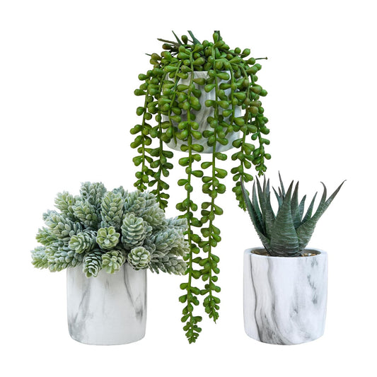 Small Artificial Succulent Potted Plants Fake Aloe Hops String of Pearls in Modern Marble / Set of 3