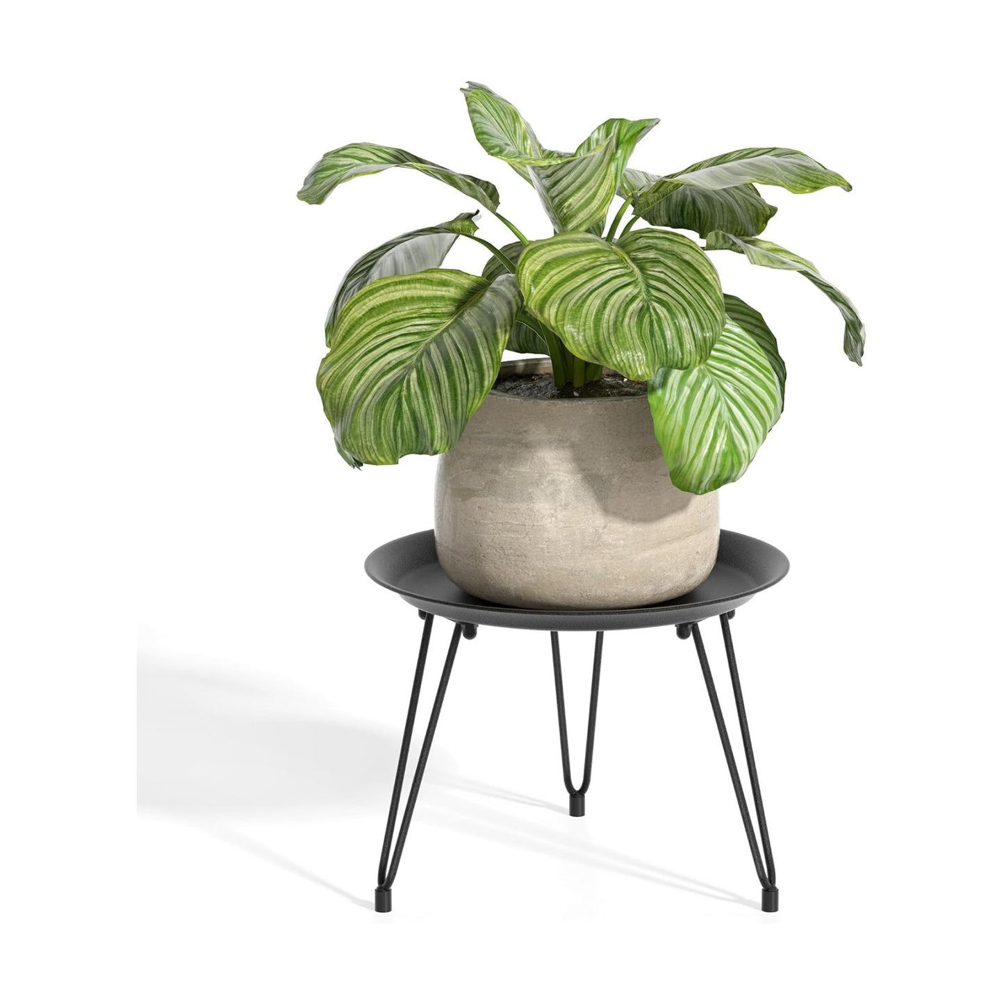 Plant Stand Indoor, Metal Plant Stand Round Plant Table Heavy Duty Plant Stool Flower Pot for Indoor Outdoor Home