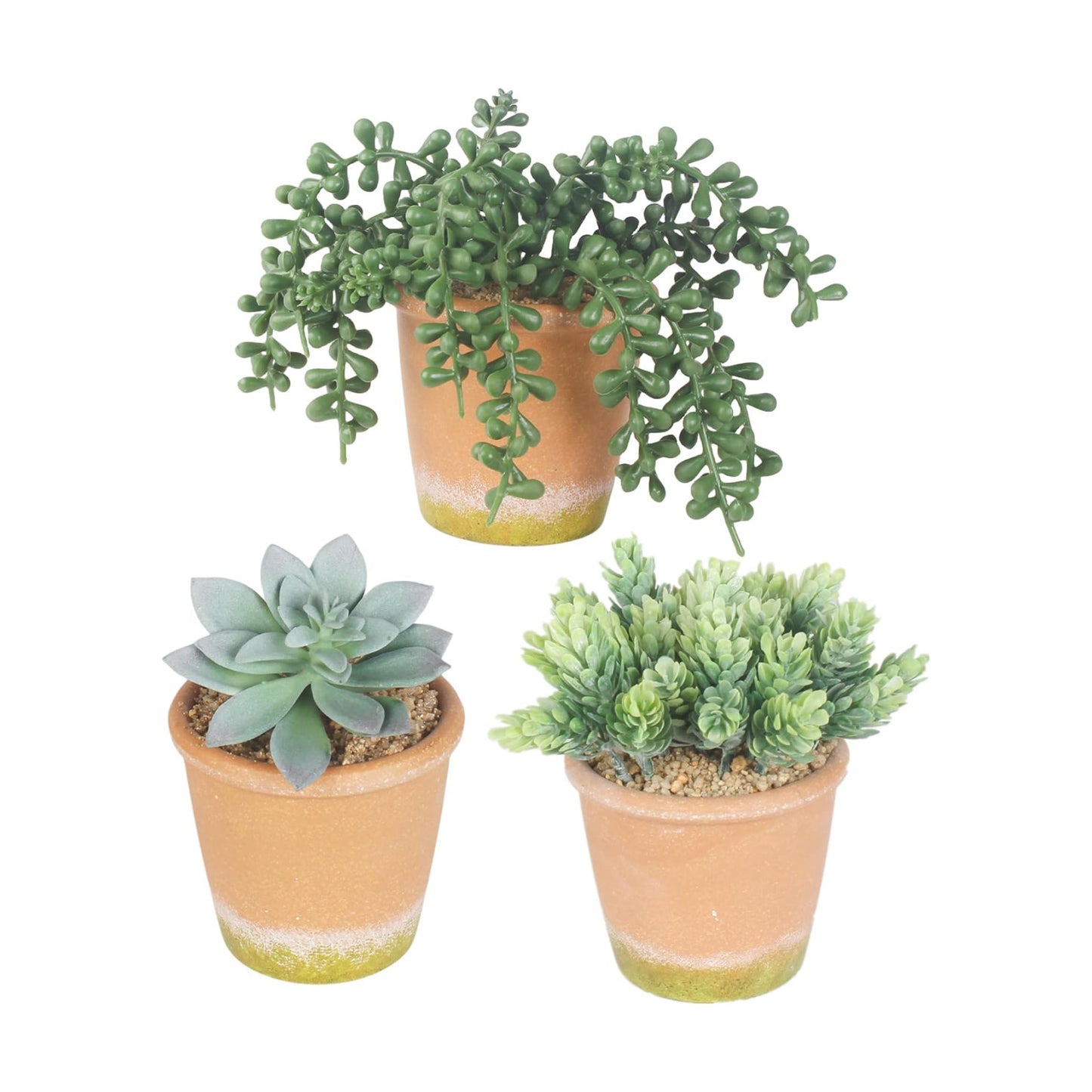Artificial Succulent Plants Potted False Succulent Plants Potted Faux Potted Plant Family / Set of 3