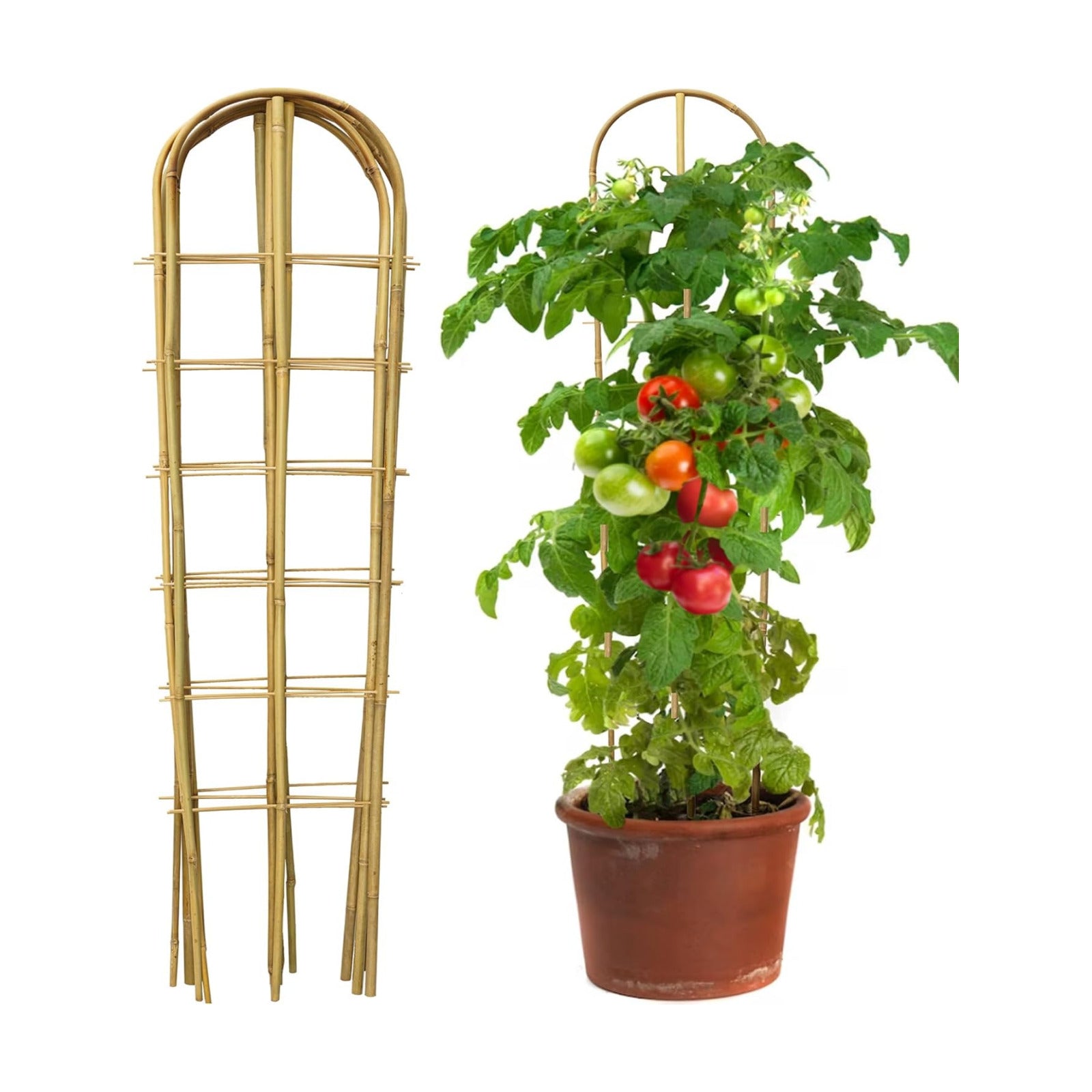 3 Pack 4 Feet U-Shape Bamboo Trellis, Natural Garden Bamboo Trellis for Climbing Plants, Vegetables, Cucumber, Tomato