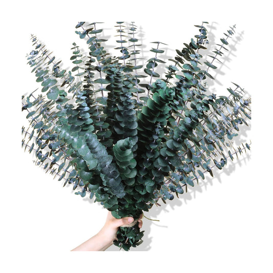 Fresh Branches for Vase / Natural / Set of 30