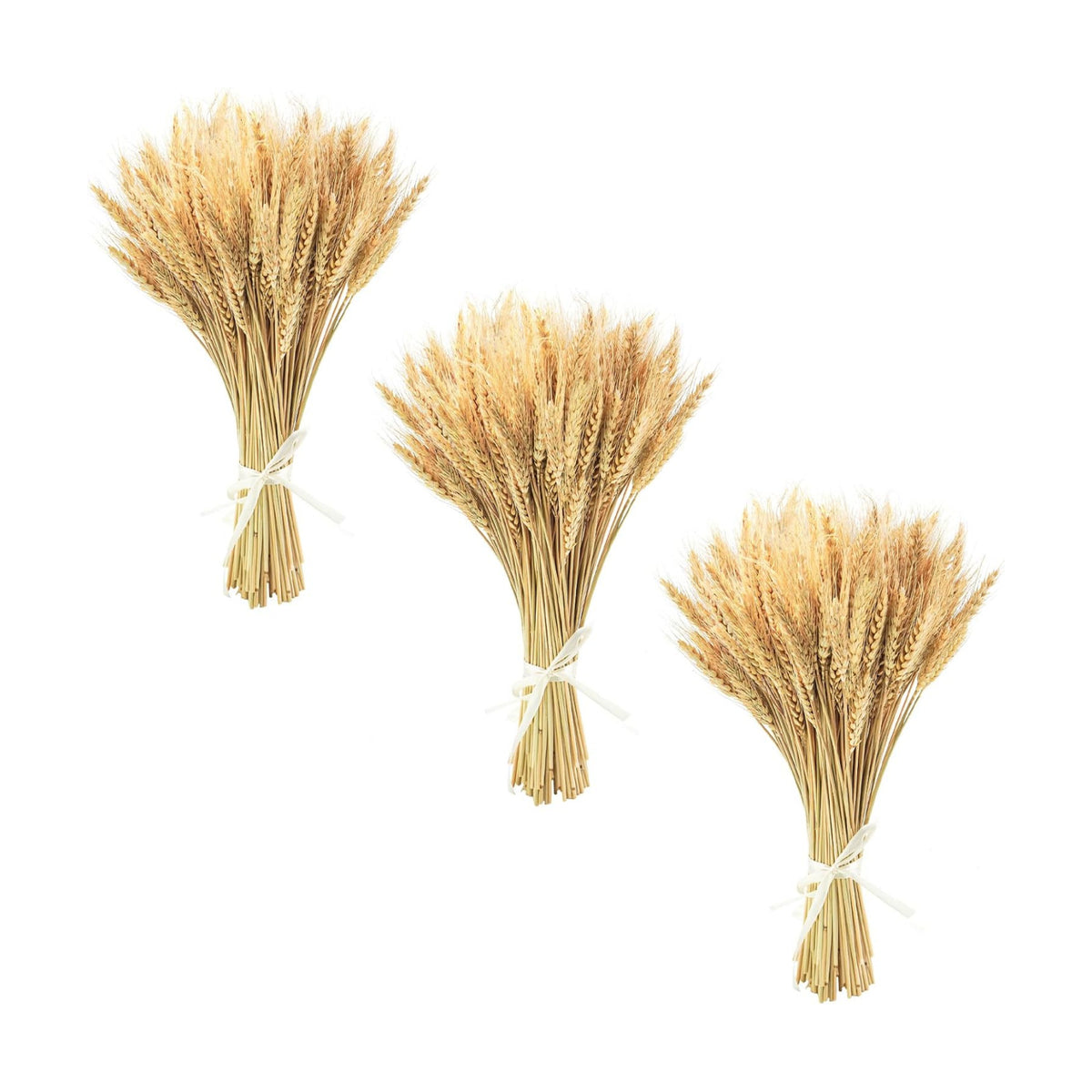 Uieke 17.7 Inches Dried Wheat Stalks, 300 Stems Dried Flowers 100% Natural Wheat for Home Kitchen Wedding Party Table Centerpiece Harvest Wreath Boho Farmhouse DIY Fall Decor