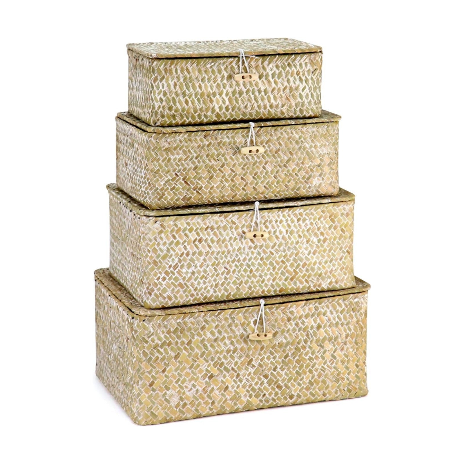 Seagrass Basket Set / 4-Piece Rattan Wicker Storage Baskets in Assorted Sizes