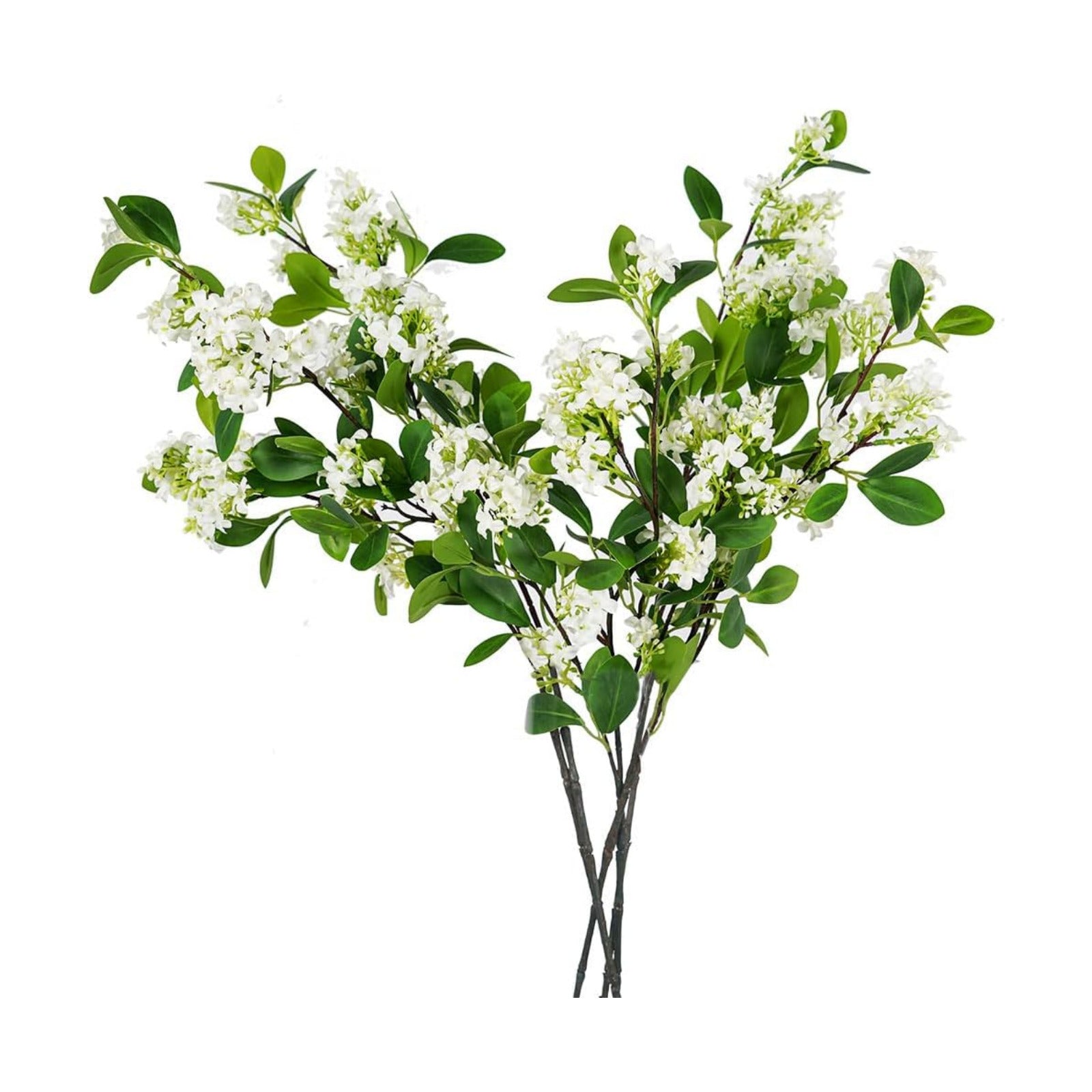 Artificial Plants / Artificial Plants Fake / Daphne / Green / Set of 6