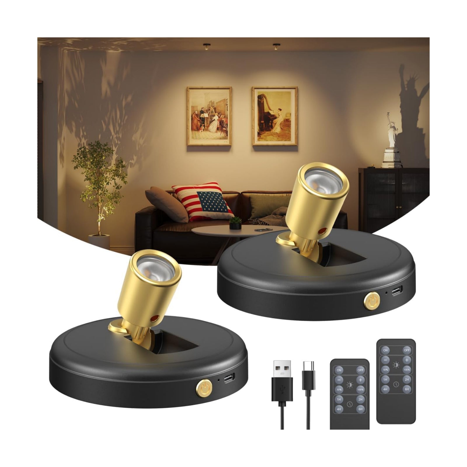 Spot Lights Indoor Led Spotlight: Rechargeable Battery Wireless Up Lights Indoor - Plants Tree Artwork Portrait Picture
