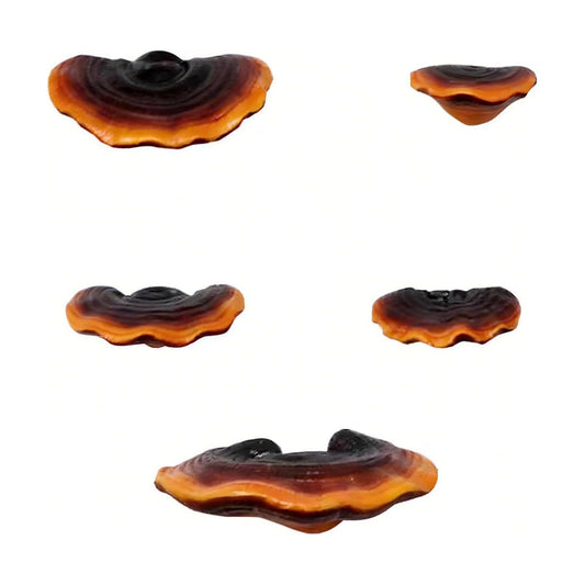 Small Floating Shelves / Set of 5