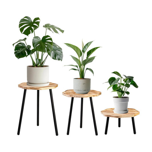 Wooden Mid Century Plant Stand Tall Plant Table Plant Holder Plant Riser for Flower / Set of 3