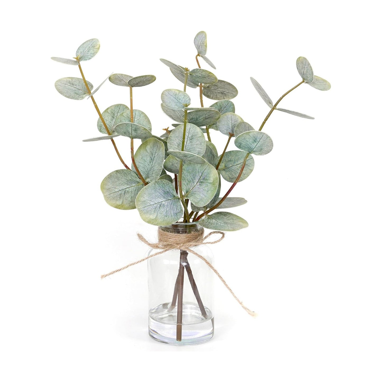 Artificial Eucalyptus Stems in Glass Vase / Double-sided Green Eucalyptus / Set of 3