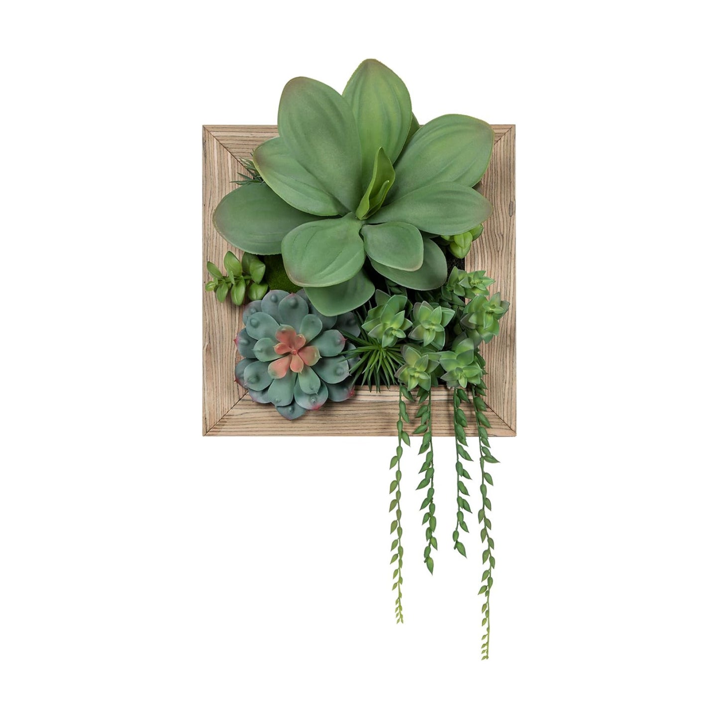 Wood Plant Box / 11.8 Inch #2