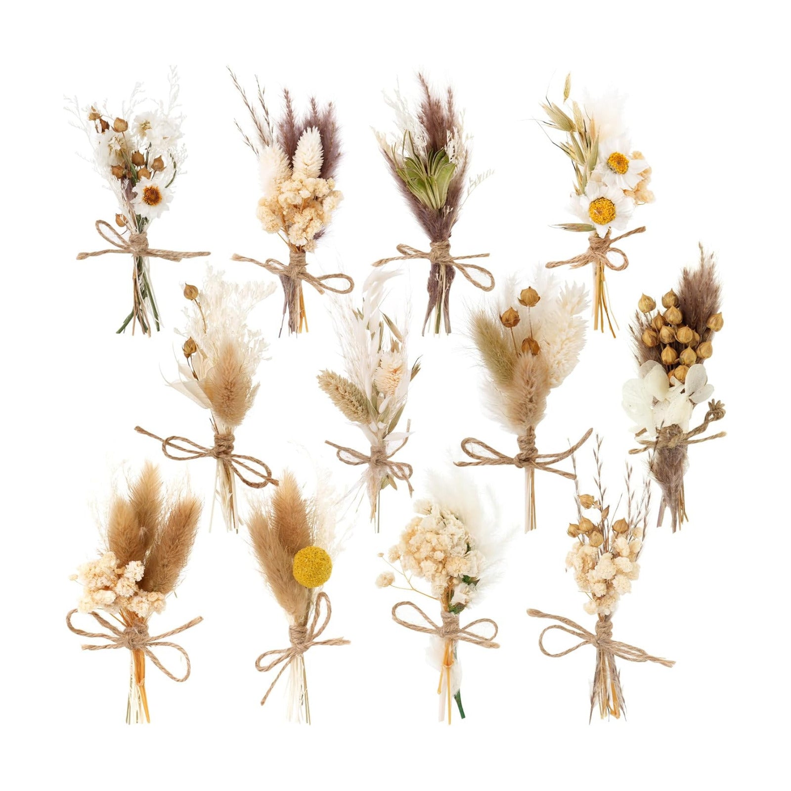 Dried Flower Bouquet Mini Pampas Grass for Crafts Small Dried / Boho Style / Natural / Set of 12