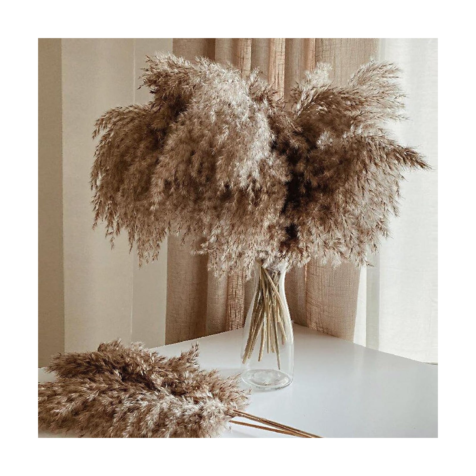 Tall Fluffy Pompas Grass for Floor Vase / 30brown - 17 Inch / Natural / 17 Inch