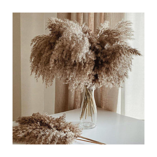Tall Fluffy Pompas Grass for Floor Vase / 30brown - 17 Inch / Natural / 17 Inch