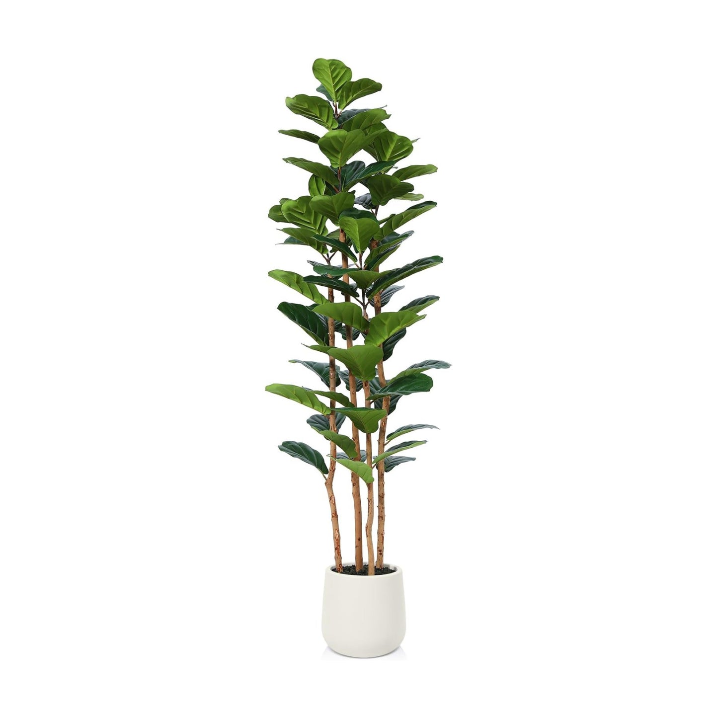 6FT Artificial Fiddle Leaf Fig Tree with White Planter for Home Decor